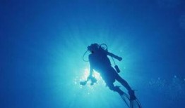 潜水博主视频爆料,博主亲历水下奇观